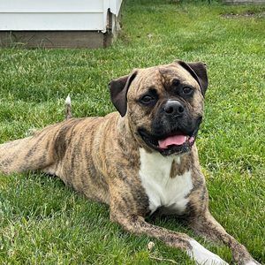 Meet your Posher, Jocelyn